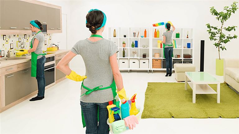 Residential Cleaning Franchise For Sale