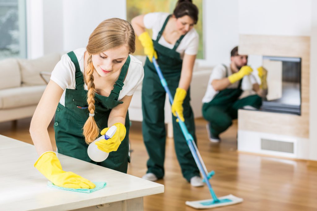 Profitable Franchise Cleaning Service. 2 Territories!